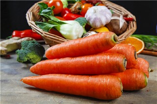 《昆虫记》读后感1000字（《昆虫记》读后感1000字左右）