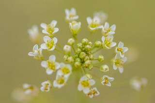 霜降时节的祝福语