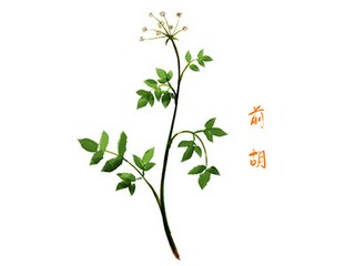 清明缅怀烈士寄语_清明缅怀烈士寄语大全