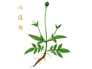 夏天两个字的词语（形容夏天的两个字的词）
