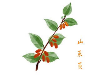 既-又-既-又-造句