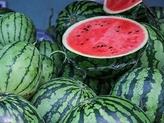 十二月你好文案_十二月你好文案简短