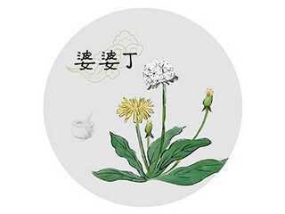 如果我是班主任作文_如果我是班主任作文怎么写
