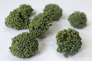 中秋优美的句子摘抄(中秋优美语段摘抄)