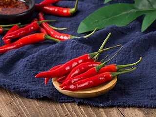 合力的解释及造句_合力的解释及造句大全