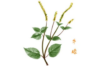 微信感人的语录（微信感人段子精选）