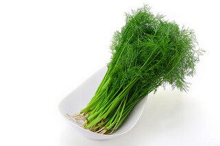 立春励志说说（立春励志说说简短）