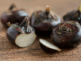 大学开学英语考试（大学开学英语考试资料）