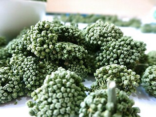 励志座右铭39条（100句经典的励志座右铭）