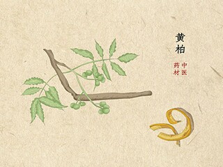 最新年会独特简短文案（新年年会文案）