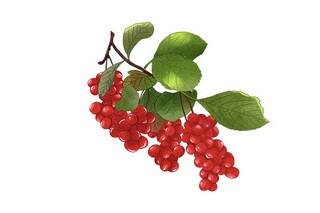幼师能力提升培训工作计划 幼儿园教师能力提升培训方案_幼儿教师能力提升培训心得体会2019