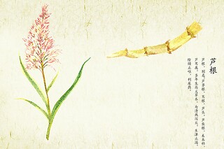 描写立冬的朋友圈优美简短祝福语_立冬的朋友圈心情短句