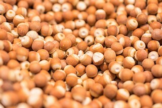 主持人活跃气氛开场白_主持人开场气氛互动