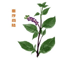 描写人生苦短的句子（描写人生苦短的句子有哪些）