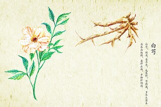 《傲慢与偏见》感悟_傲慢与偏见语句感悟