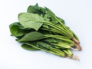 小学生春游活动方案要求_小学生春游策划书模板范文