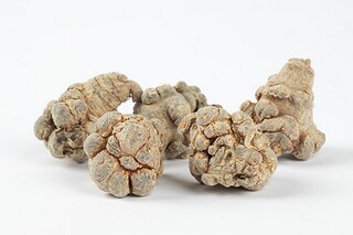 默默努力，静等花开诗歌（默默努力 静待花开）