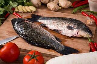 冬雪的诗句有哪些_冬雪的诗句有哪些三年级