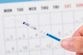 木兰诗翻译参考（木兰诗翻译准确）