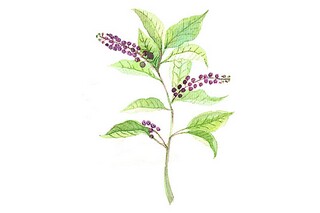 风景优美句子摘录_风景优美句子摘抄