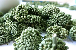 幼儿园大班语言活动《三只小猪》说课稿(语言领域《三只小猪》说课稿)