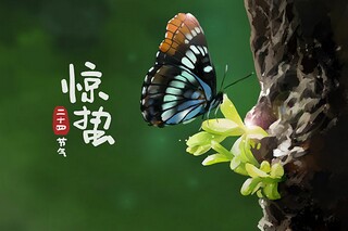 百年好事的成语_百年什么好成语