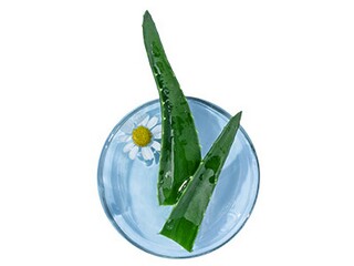 给孙子取名字美文欣赏_给孙子取名字美文欣赏大全