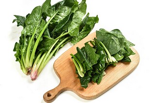 我的好朋友写人作文400字（我的好朋友写人500字）