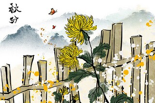 妈妈的亲情的作文_妈妈的亲情作文300