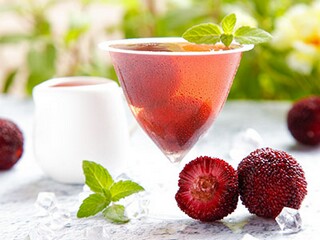 初一年级写读书的作文（初一阅读作文）