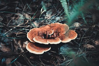 员工生病的慰问信（员工生病的慰问信怎么写）