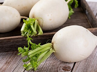 春游趣事作文（春游趣事的作文）