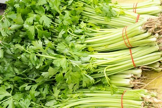 感叹时光易逝的诗句（感叹时光易逝的诗句有哪些）