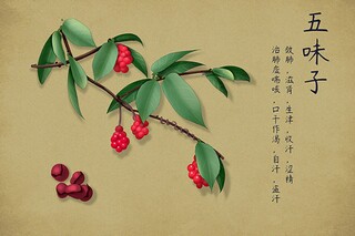乐观积极心态的名言（乐观积极心态的词）