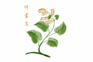 我懂得了坚持作文_我懂得了坚持作文450字