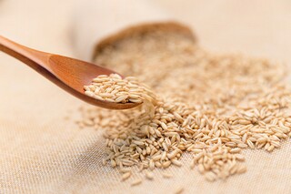 故乡的味道作文700字（故乡的味道600）