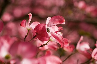 《橘子味的夏天》读后感500字_橘子味的夏天在线阅读