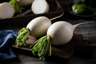 大蒜生长观察日记_大蒜生长观察日记作文