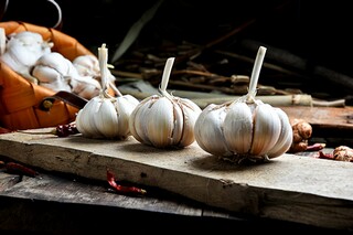 老师我想对您说作文（老师我想对您说作文600字）