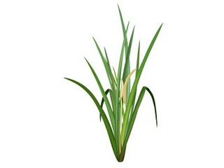 老教师教师节发言稿_教师节老教师发言词