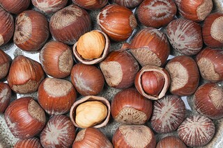 古诗伴我成长作文（初中生古诗文推荐背诵70篇）