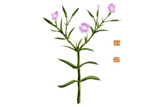 元旦新年感言_元旦新年感悟