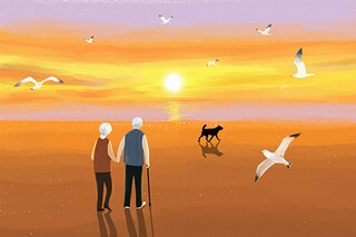 描写芒种的优美句子_描写芒种的优美句子短句