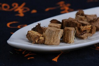 根深蒂固的爱情爱情诗歌