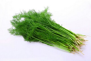 部编三年级下册《火烧云》的教学设计_统编版火烧云教学设计