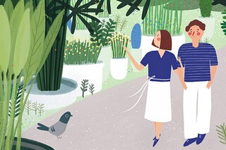 家乡的雾作文_家乡的晨雾作文