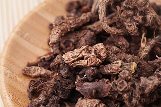 家乡的变化小学作文500字_家乡的变化作文儿500字