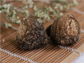 森林防火宣传语_森林防火作文600字