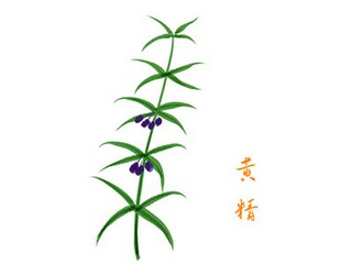 向梦想出发的句子(向梦想出发经典语录)