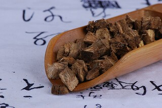 餐厅服务员辞职信_服务员辞职信